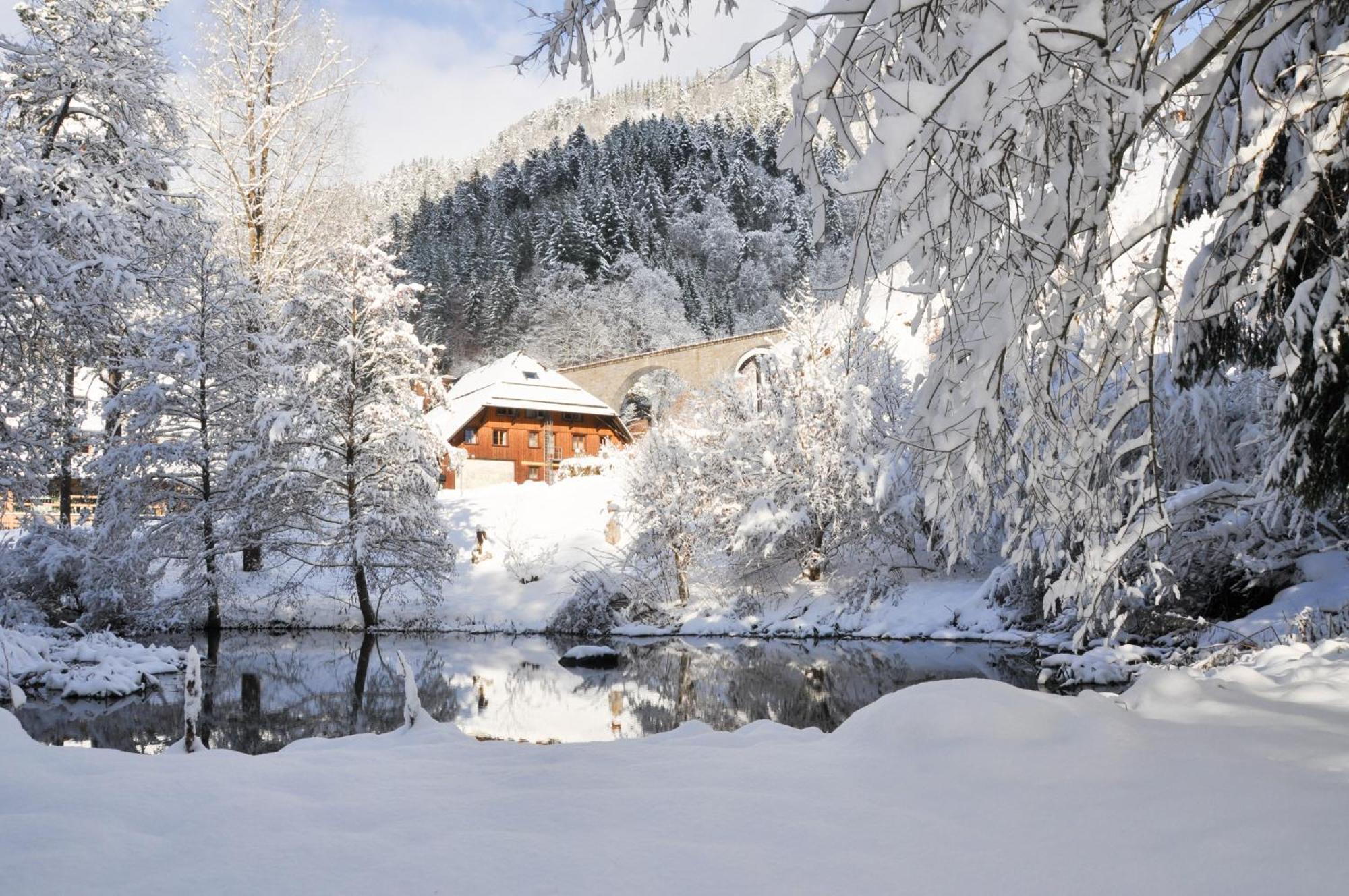 Hotel Hofgut Sternen - Ravennaschlucht ไบรท์เนา ภายนอก รูปภาพ